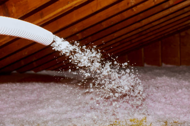 Best Cellulose Insulation in Frankton, IN