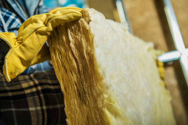 Best Specialized Insulation Services in Frankton, IN