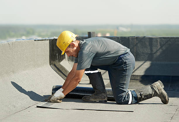 Best Geographic-Specific Insulation Services in Frankton, IN